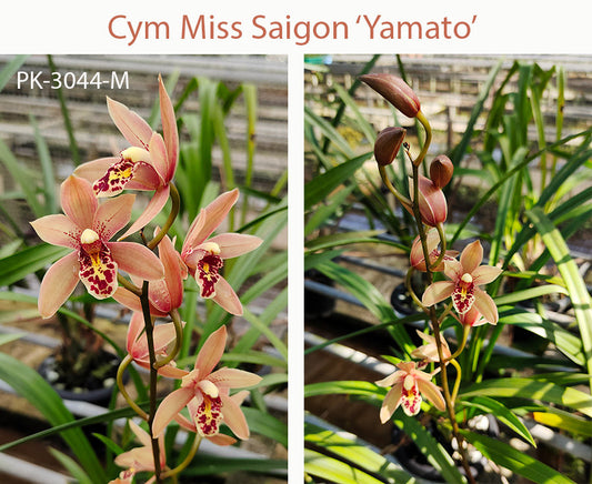 ?!label-Indicative photo