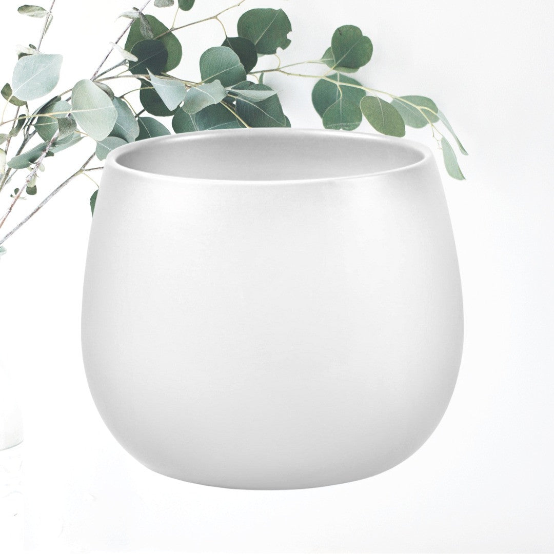 Orchid Pot LSHW H13xD13 (2)_edited.jpg