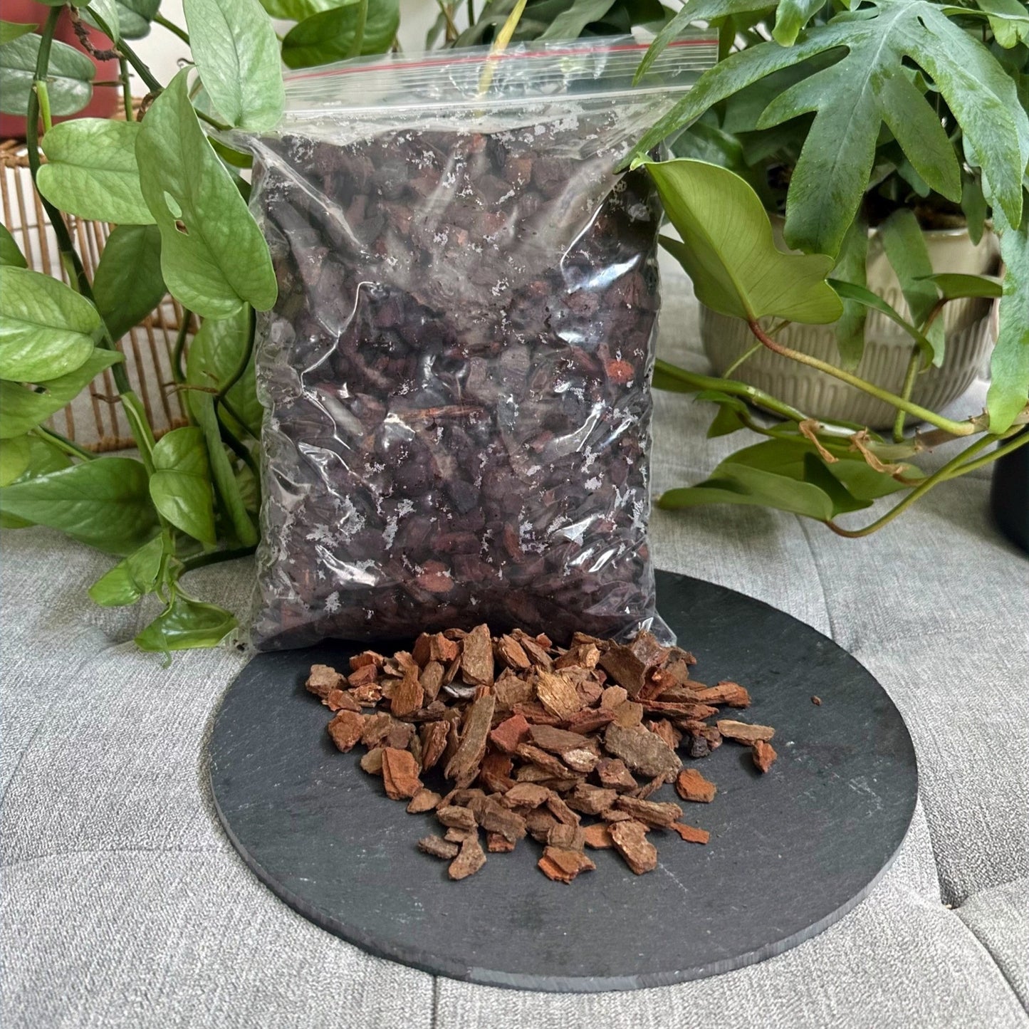 GM Orchid Bark 2L (1)_edited_edited_edited.jpg