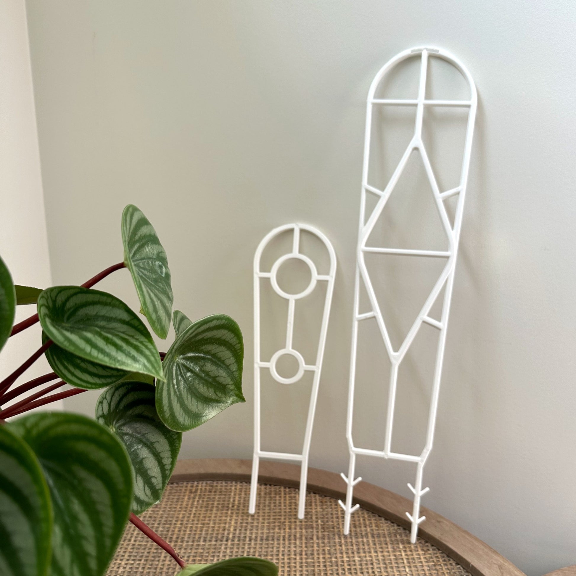 Plant Support trellis black 45 30 (1)_edited.jpg