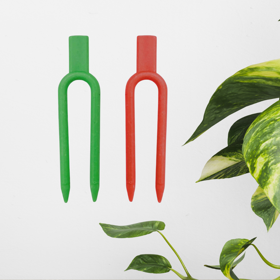 houseplant soil pins Green Red (1).png