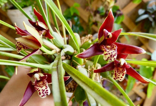 ?!label-Indicative photo