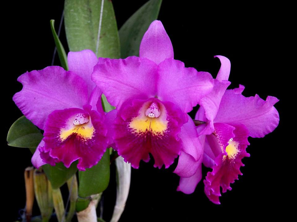 ?!label-Indicative photo.jpg