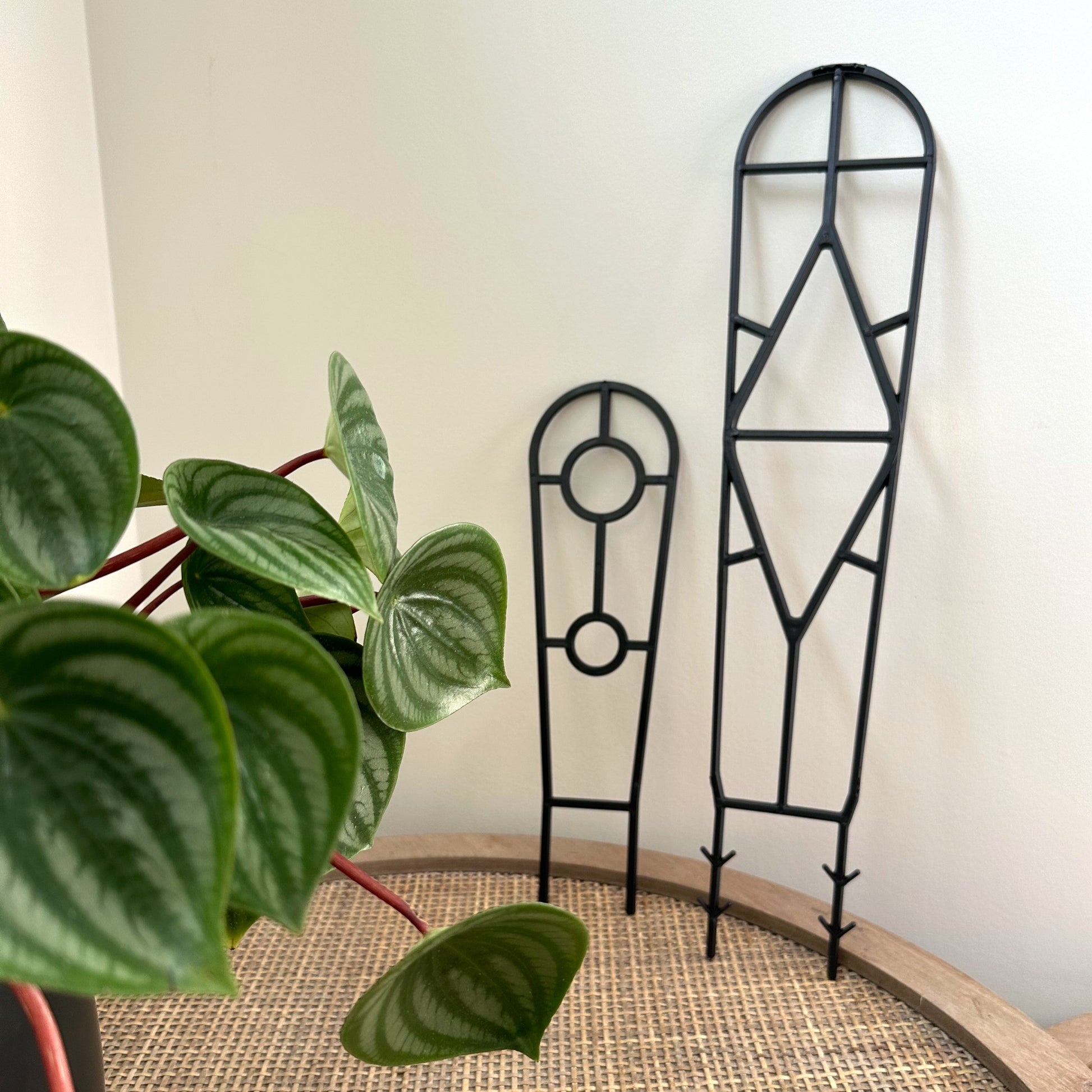 Plant Support trellis black 30 45 (12)_edited.jpg