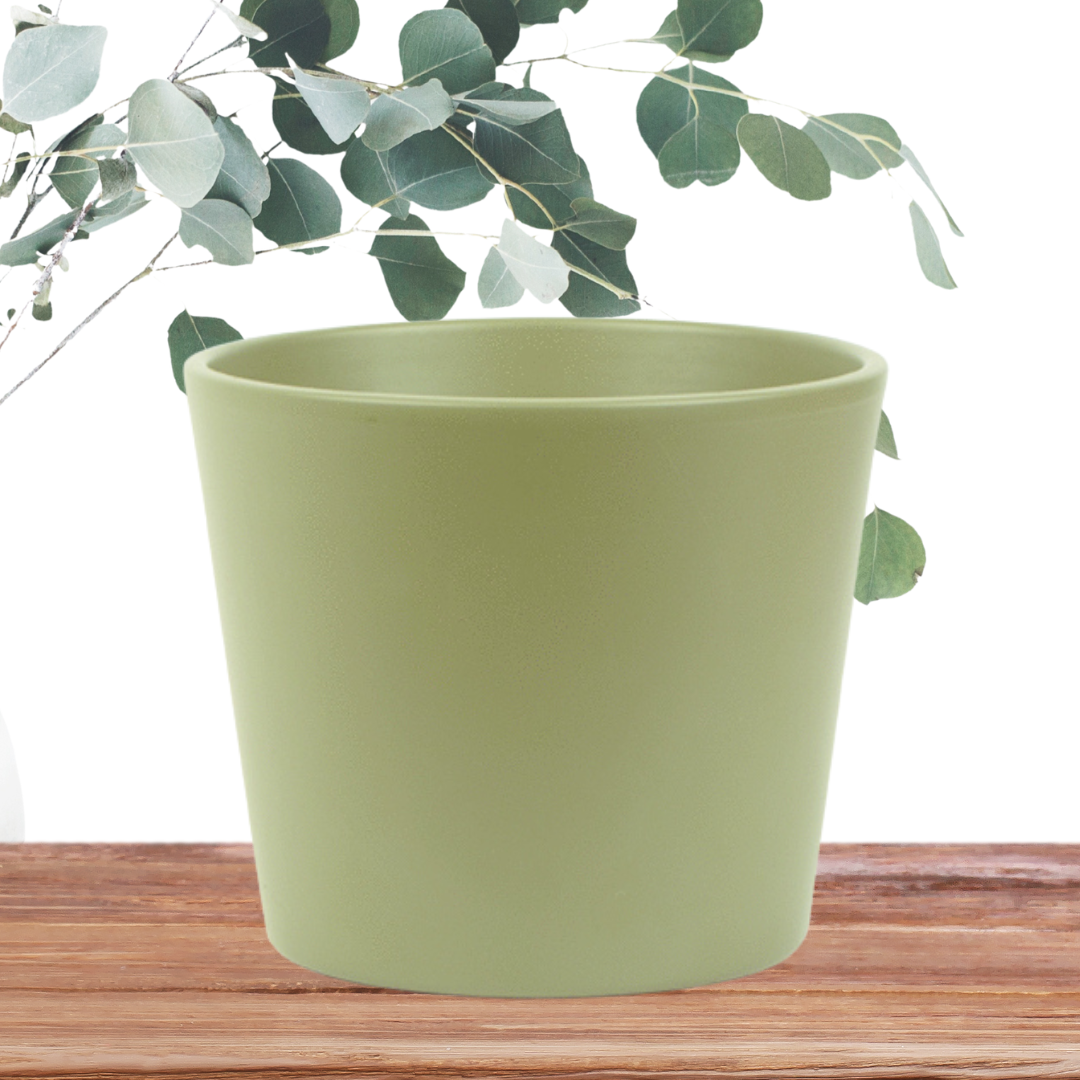 Millie 15cm Kapern Matte Ceramic Pot_1.png
