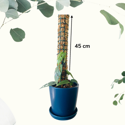 Moss Poles 45 90 (3).png