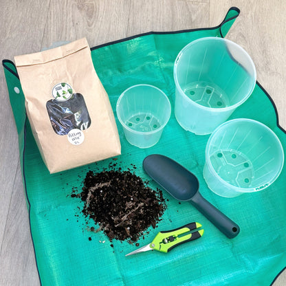 Potting Gift Set (2)_edited.jpg
