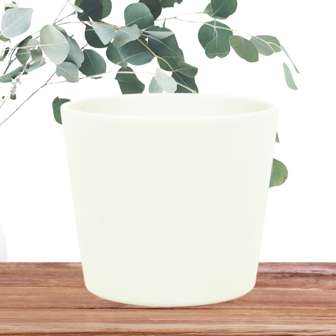 Products - Website Events Promo.png