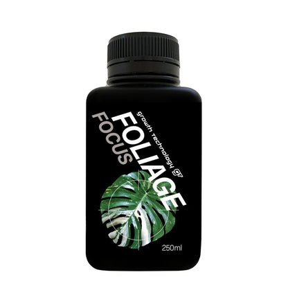 GT Foliage Focus 250mL (2).webp