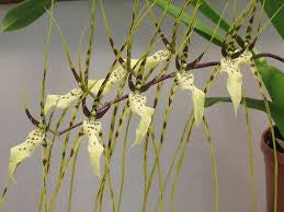 ?!label-Indicative photo