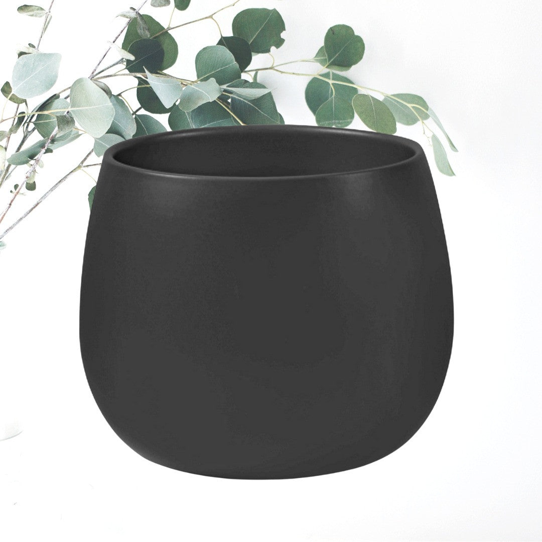 Orchid Pot LSHW H13xD13 (1)_edited.jpg