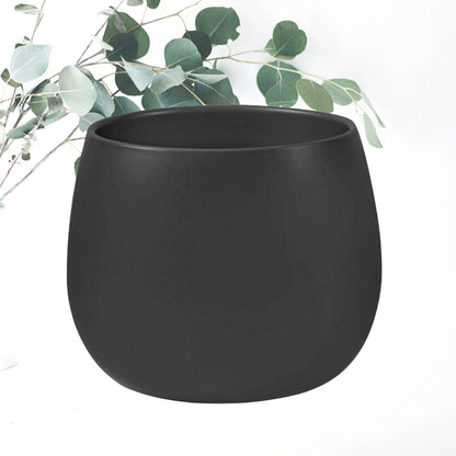 Orchid Pot LSHW H13xD13 (1)_edited.jpg