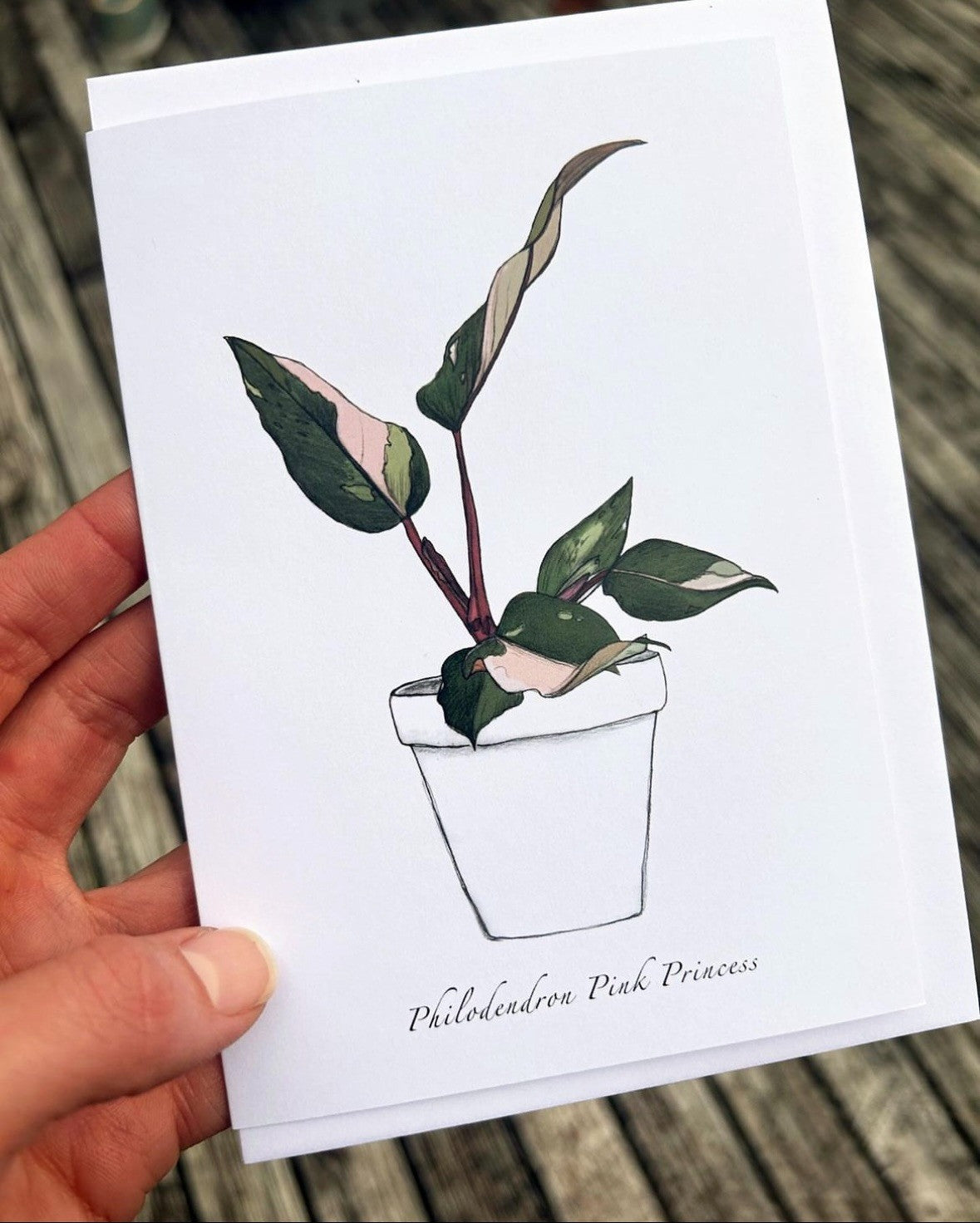 Jade Ell Greting Cards FS_2023 (8)_edited.jpg