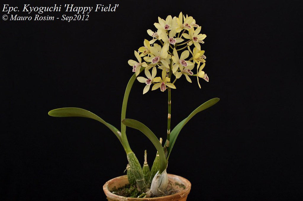 ?!label-Indicative photo