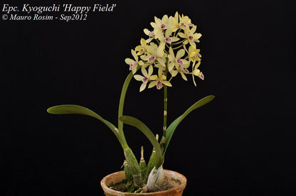 ?!label-Indicative photo