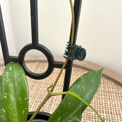 Butterfly plant clips (1)_edited.jpg