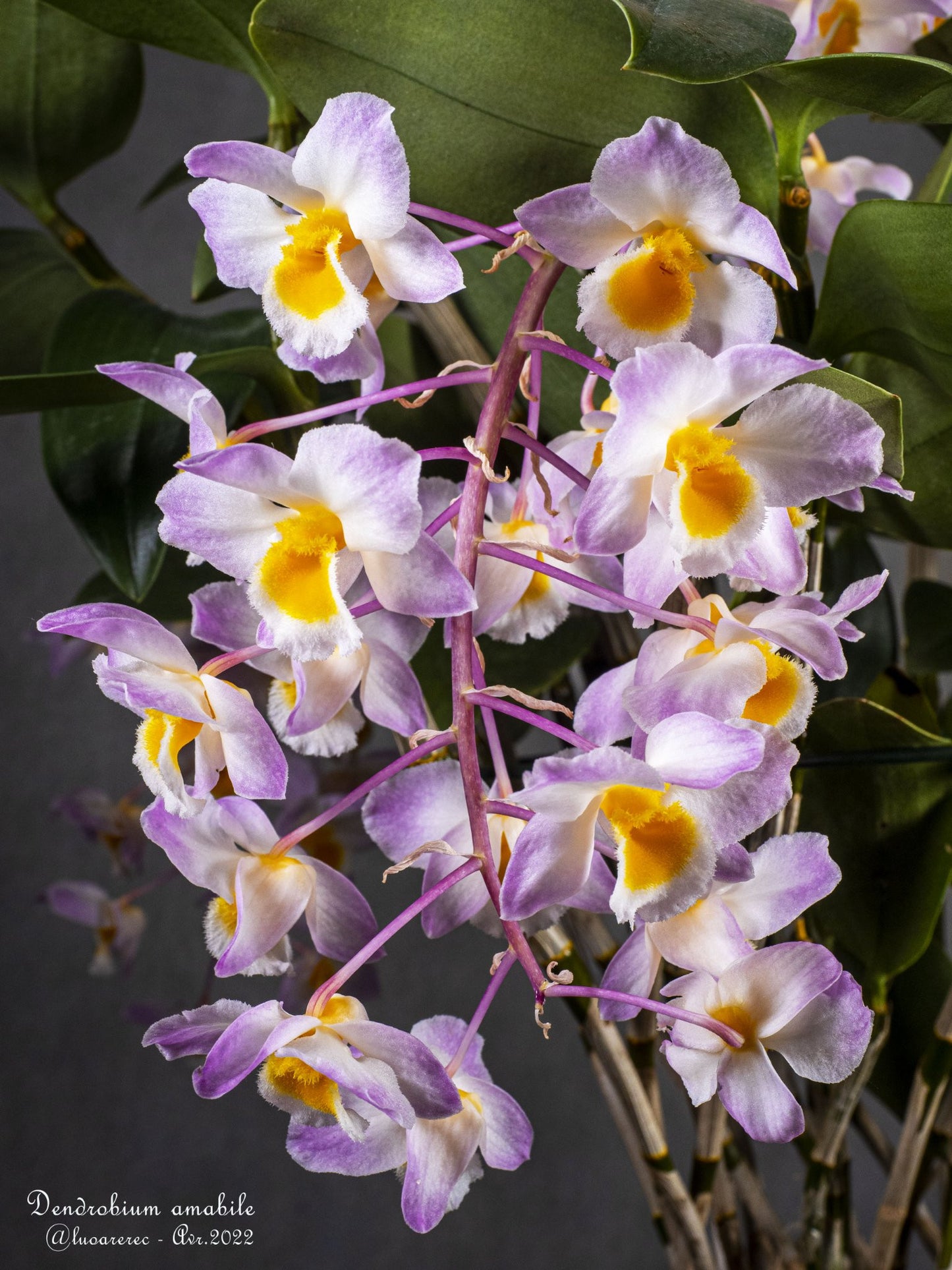 ?!label-Indicative photo