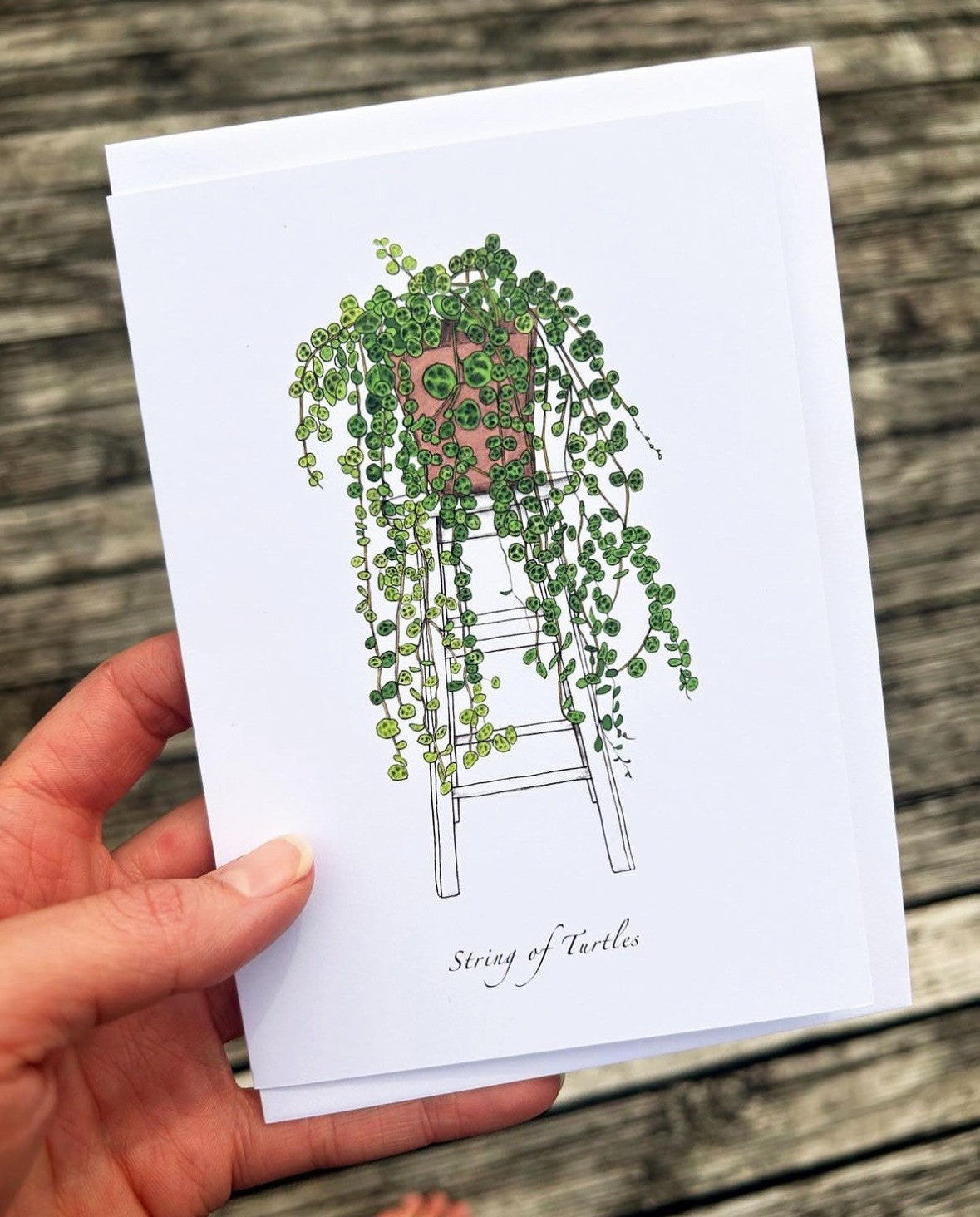 Jade Ell Greting Cards FS_2023 (1)_edited.jpg