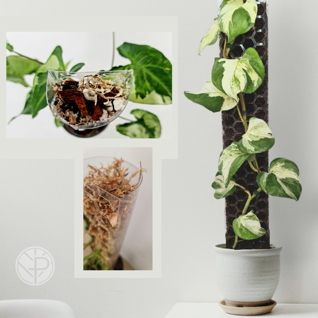 PlantThingy Media Poles  (8).png