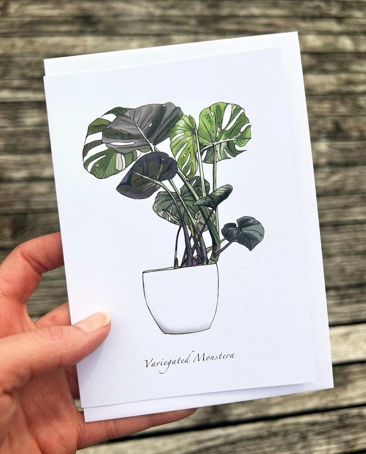 Jade Ell Greting Cards FS_2023 (7)_edited_edited.jpg