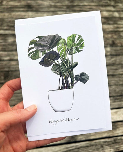 Jade Ell Greting Cards FS_2023 (7)_edited_edited.jpg