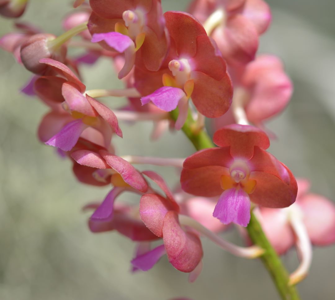 ?!label-Indicative photo