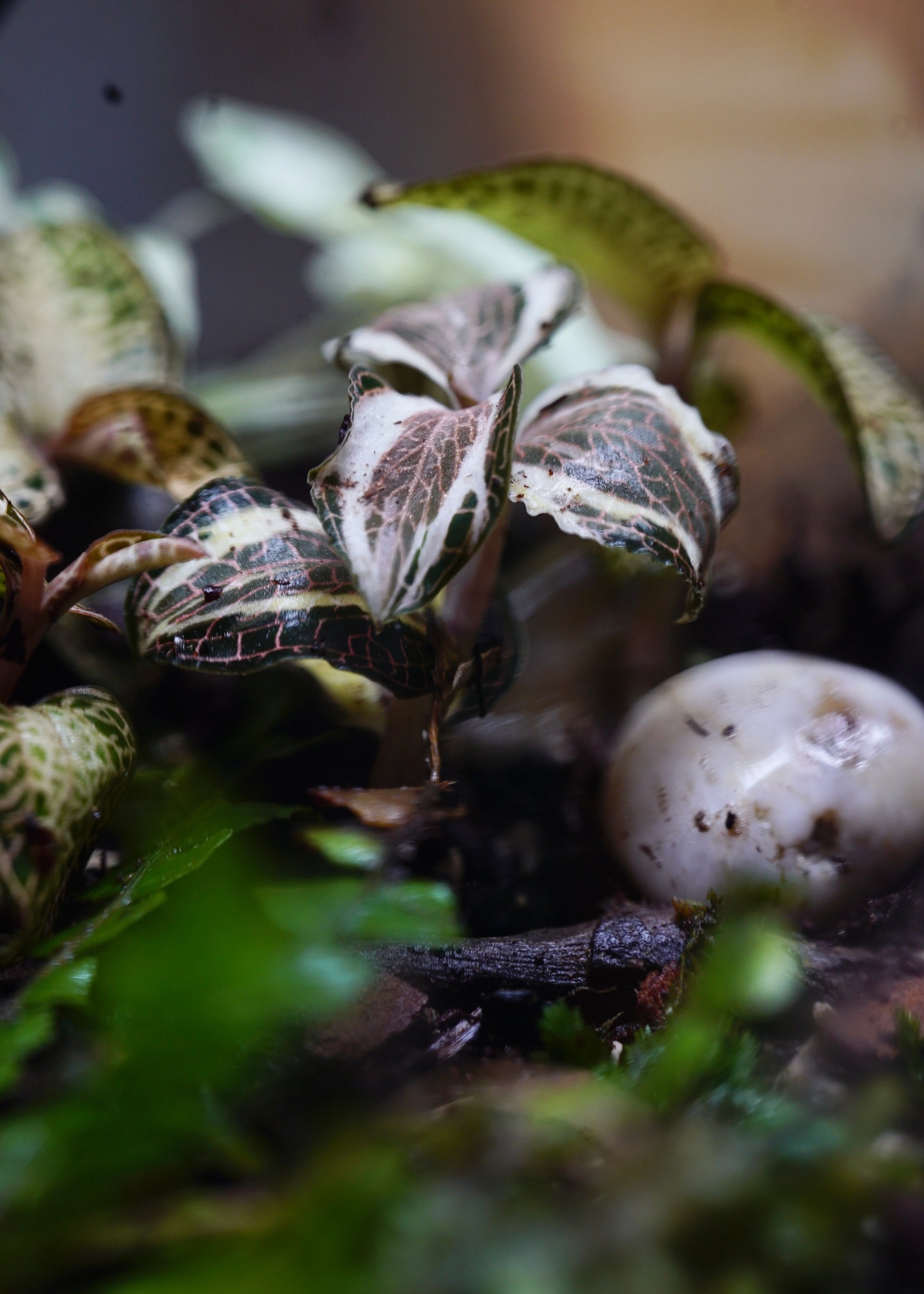 ?!label-Indicative photo