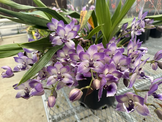 ?!label-Indicative photo