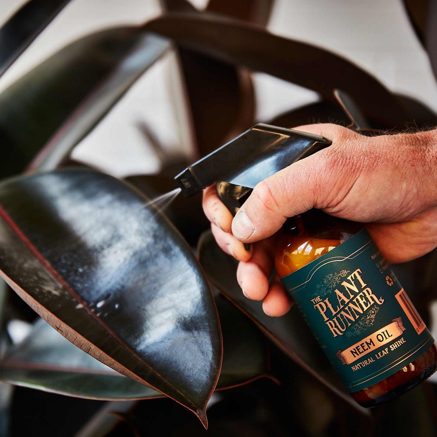 Copy of IMGL1777_edited.jpg