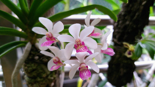 ?!label-Indicative photo