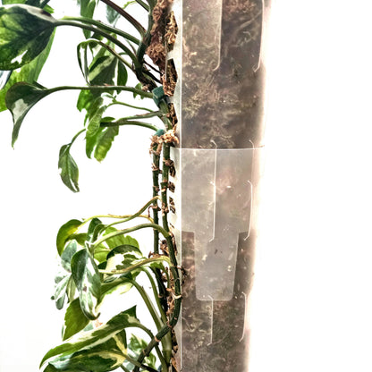 PlantThingy Media Pole_ (7).jpg