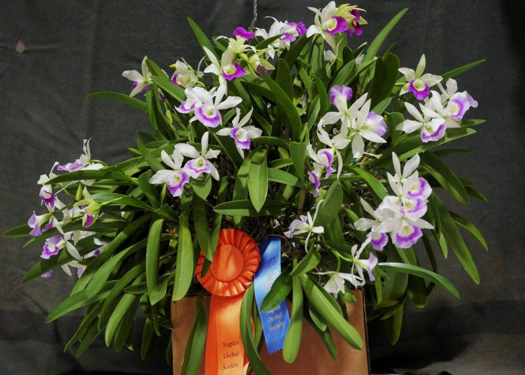 ?!label-Indicative photo