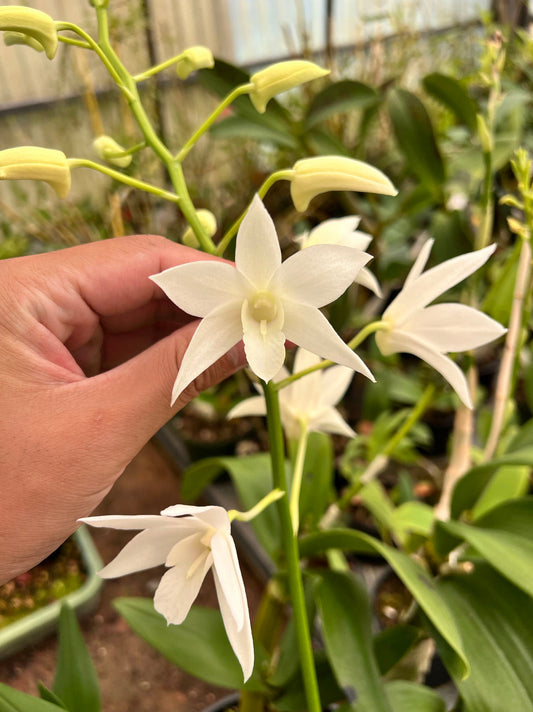 ?!label-Indicative photo