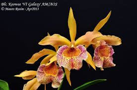 ?!label-Indicative photo