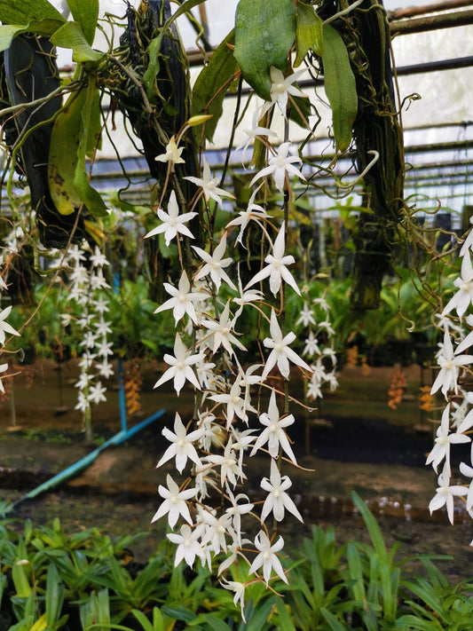 ?!label-Indicative photo