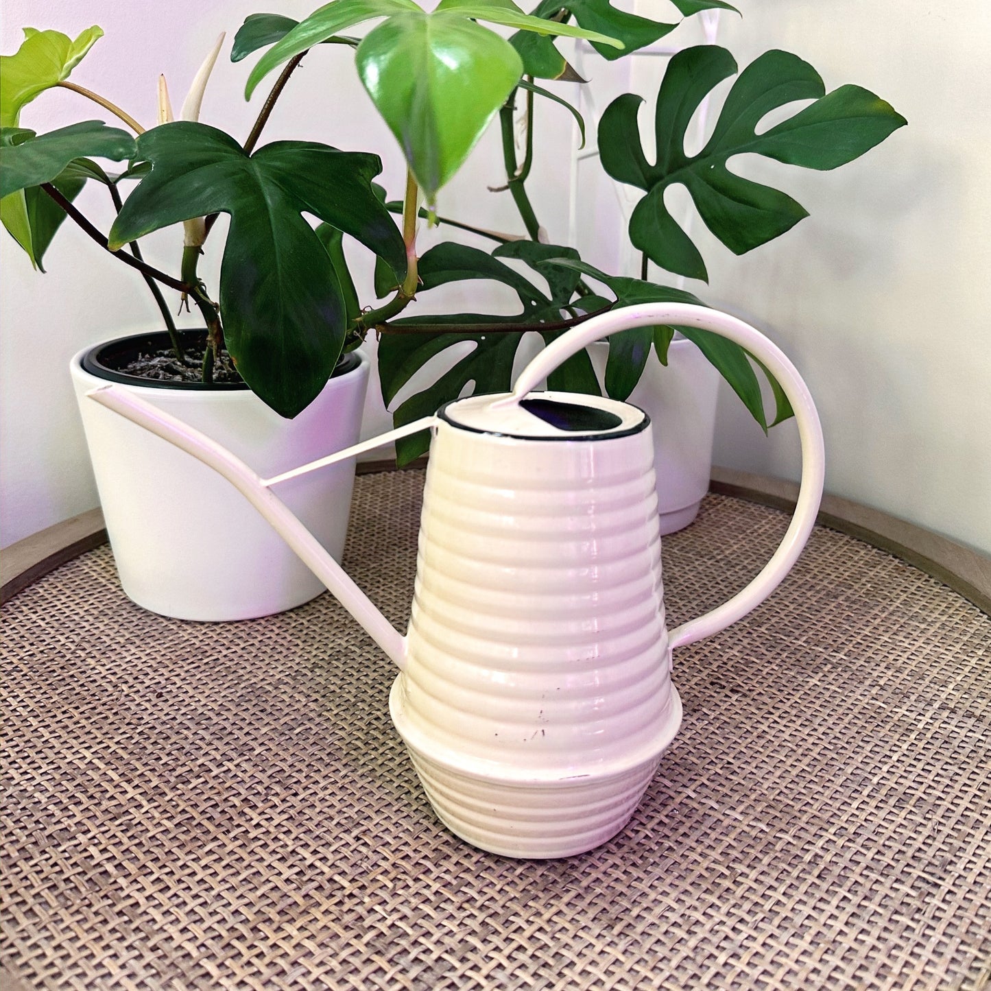 Esscherts watering can Grn Gry Crm (6)_edited.jpg