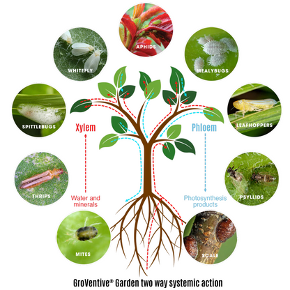 GroVentive systemic insecticide 200ml (3).png