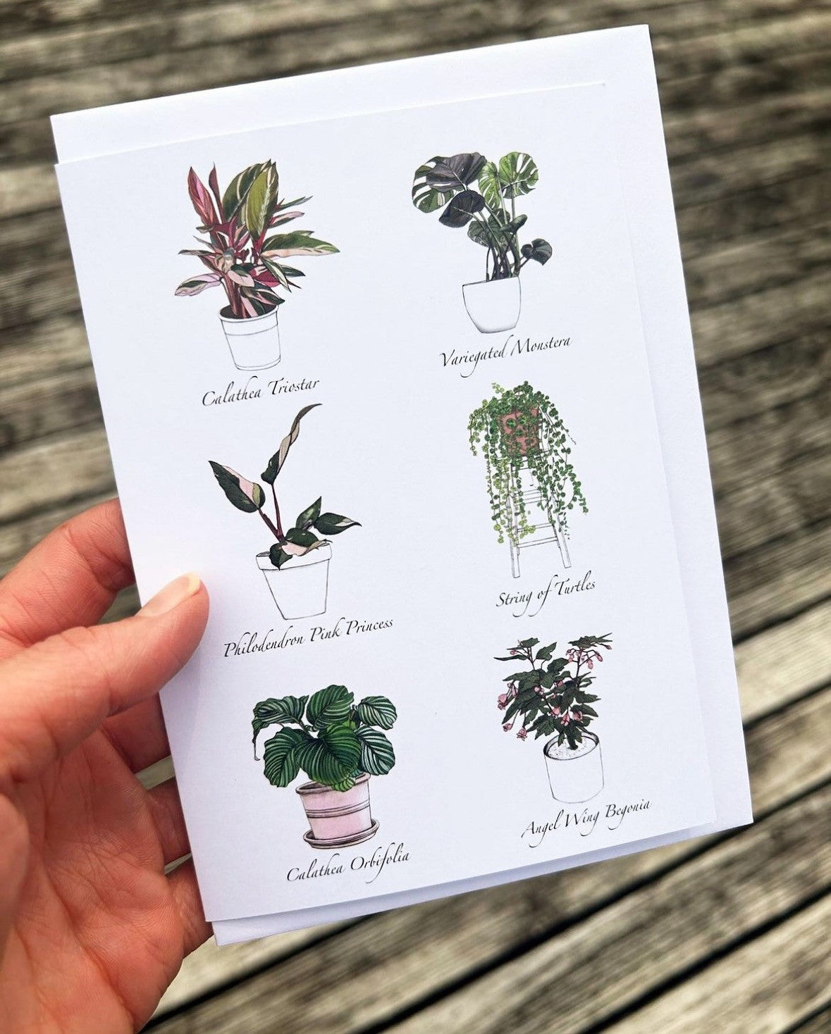 Jade Ell Greting Cards FS_2023 (3)_edited.jpg