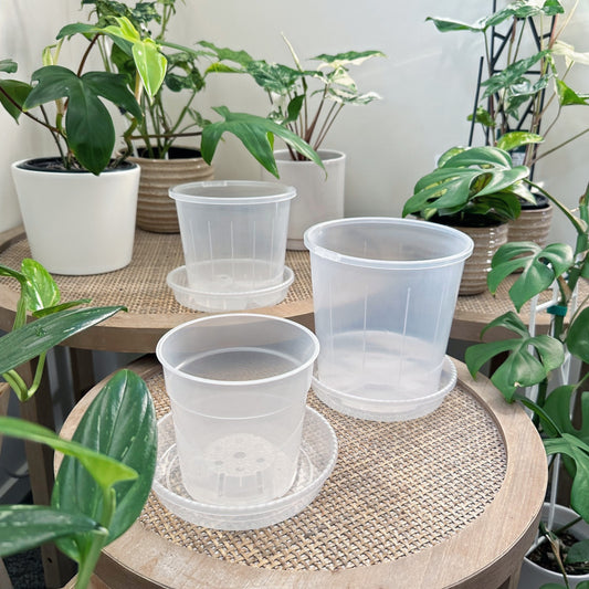Clear Plant Saucer 14cm (3)_edited.jpg