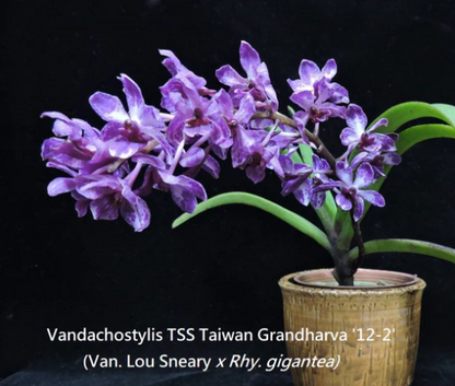 ?!label-Indicative photo