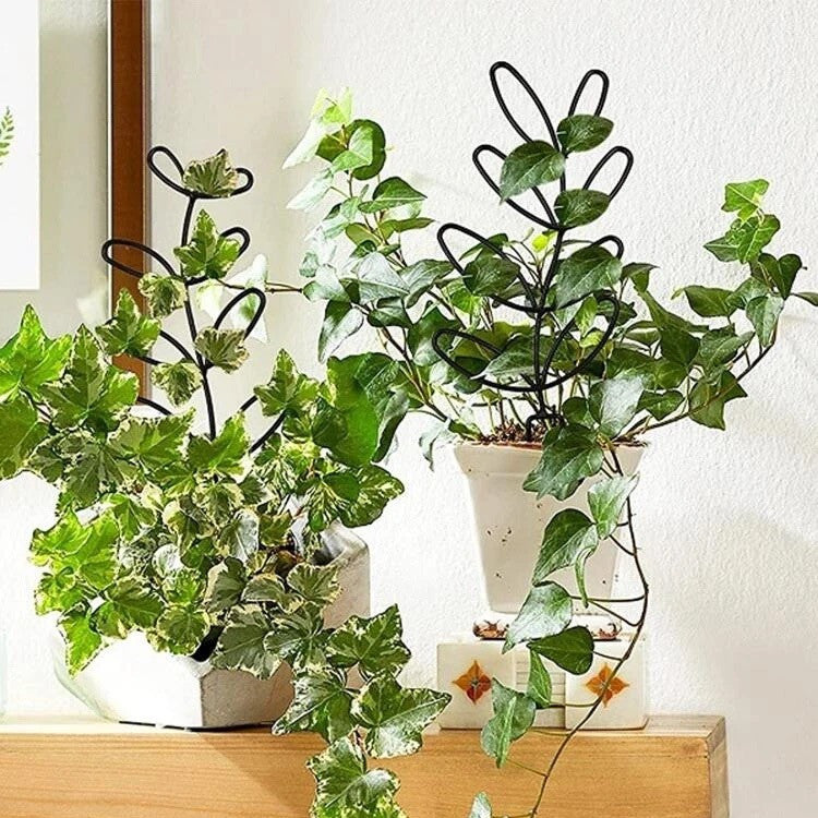 Plant support trellis leaf_2_edited.jpg