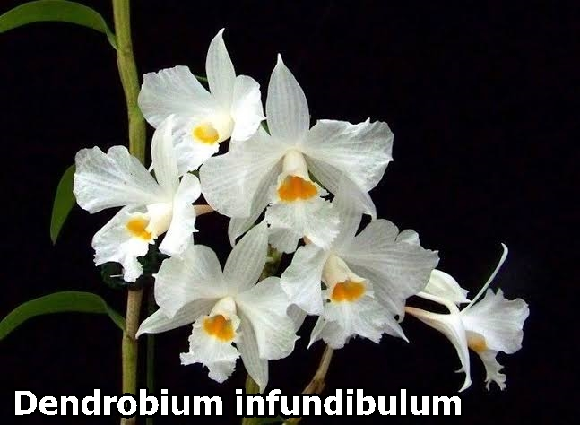 ?!label-Indicative photo