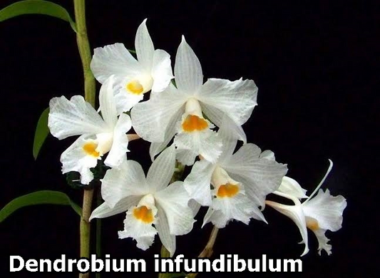 ?!label-Indicative photo