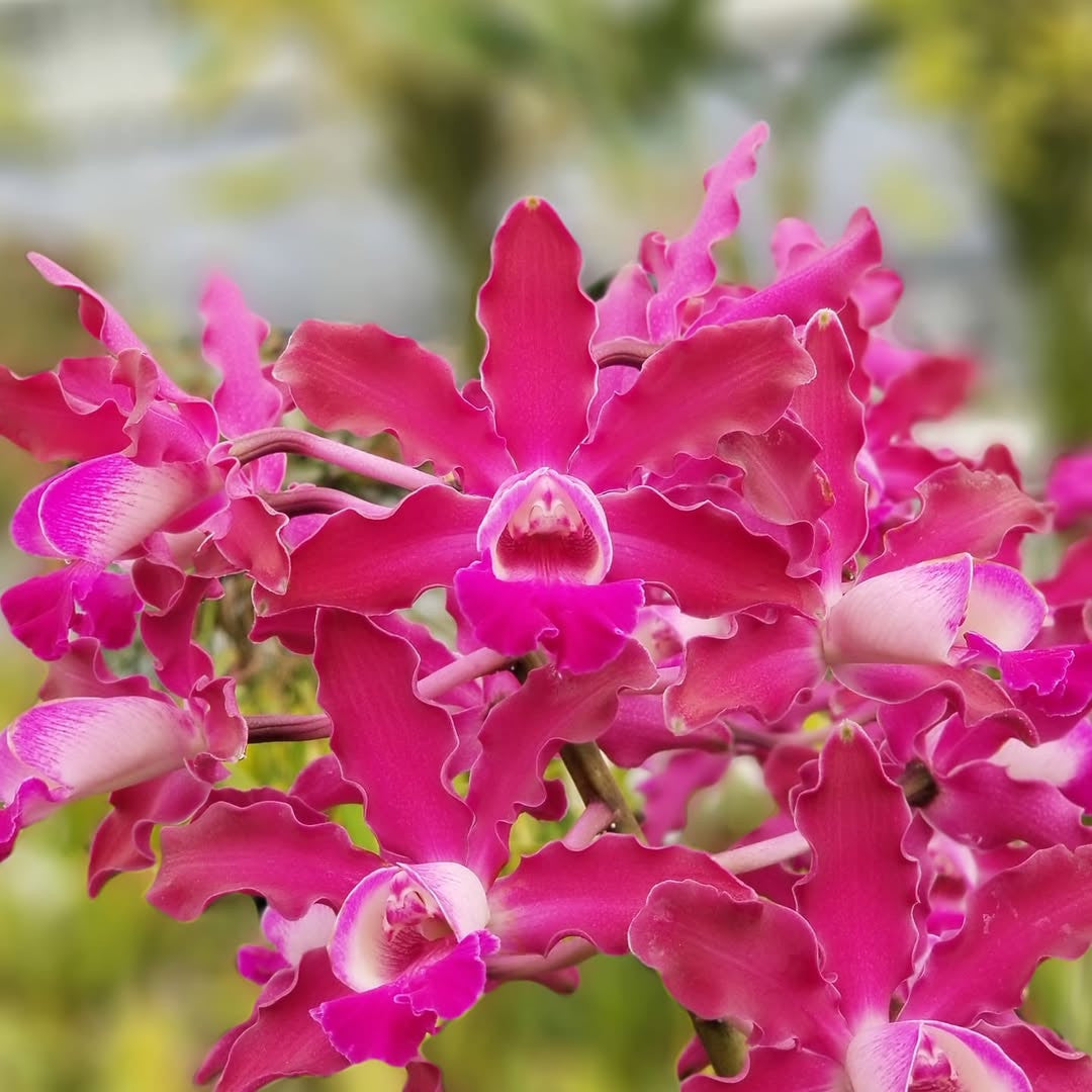 ?!label-Indicative photo