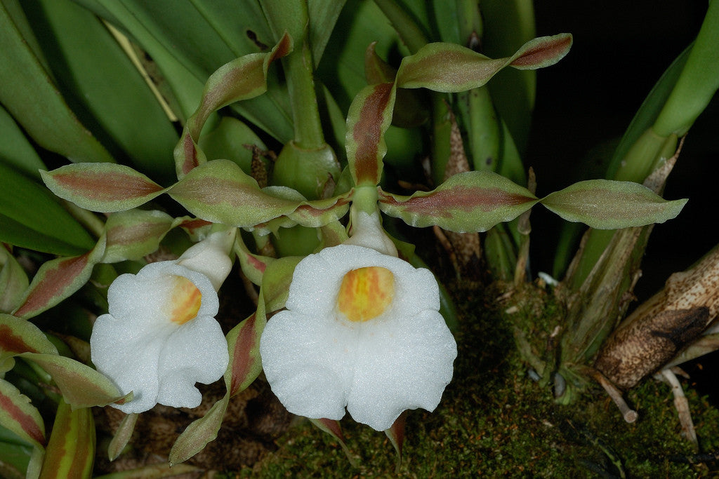 ?!label-Indicative photo