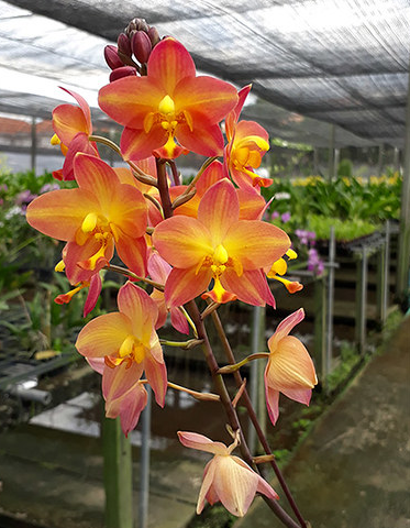 ?!label-Indicative photo