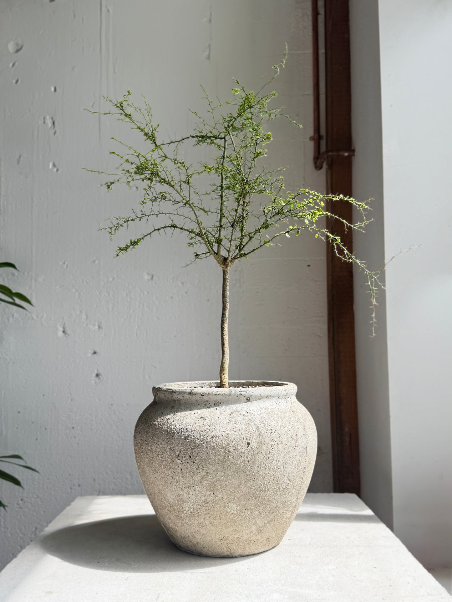 ?!label-Indicative photo