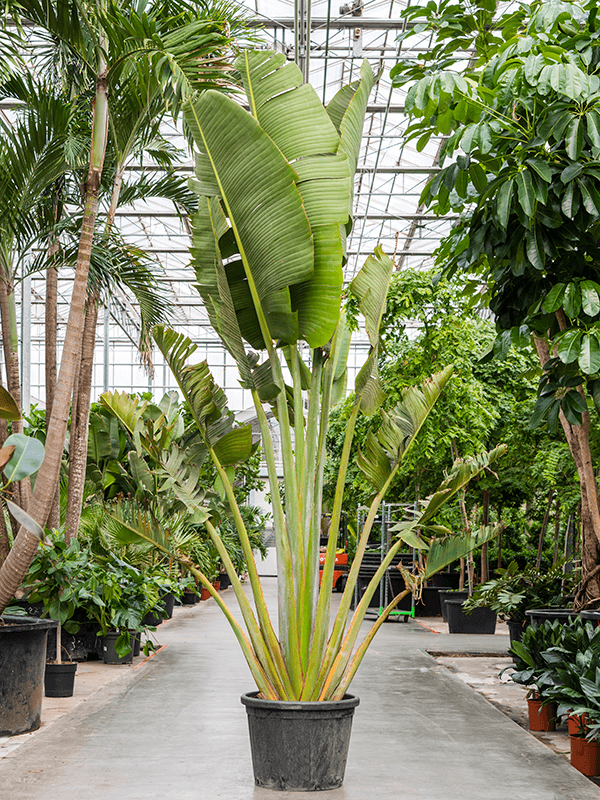 ?!label-Indicative photo