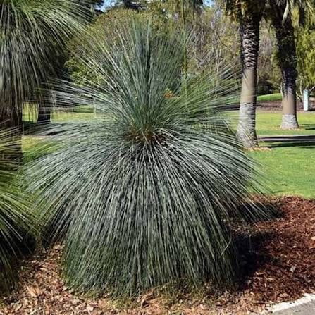 ?!label-Indicative photo