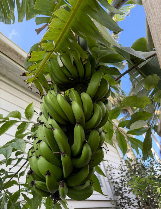 ?!label-Indicative photo